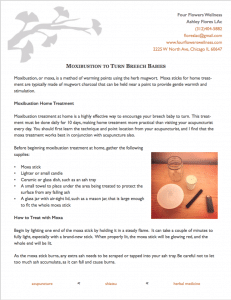 Download the Handout on Moxibustion for Breech Babies