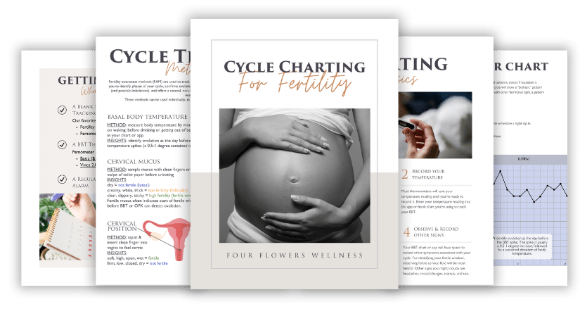 Cycle Charting for Fertility